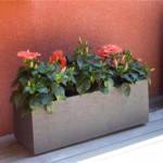 Jardinière Graphit Up 57L