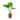 ALOCASIA_MACCRORRHIZA_10e-1