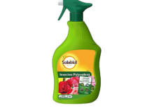 Insectes Polyvalent Prêt à l'Emploi