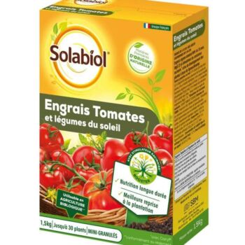 Tomate-SOTOMY15_product