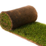 Gazon Naturel en Plaque au M²