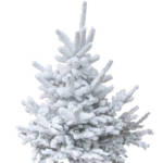 Sapin Nordmann Floqué Blanc 100/120