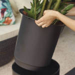 Insert Pot Santorini