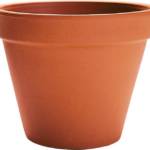 Pot Standard terre Cuite Ø6cm