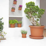 Pot Cilindro Venezia