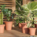 Pot Toscana