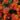 lantana-64408_640 (1)