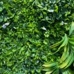 Mur Végétal Artificiel Liseron 1mx1m