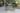 MONTMARTRE_CACTUS_ROMARIN_MARSEILLE_BCJ2024_SEBASTIEN_EROME