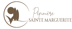 Pépinière Sainte Marguerite-Le plus grand choix en Provence Alpes Côte d'Azur : Palmiers, Oliviers Centenaires et Millénaires, Arbres, Arbustes, Plantes, Végétaux, Cactus, Terre, Terreau, Bois de Chauffage, Décoration et Aménagement de Jardin.
